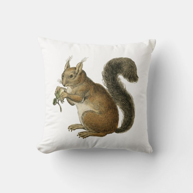 Coussin Écureuil Vintage Illustration Cushion (Recto)