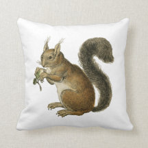 Écureuil Vintage Illustration Cushion