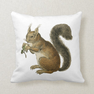 Coussin Écureuil Vintage Illustration Cushion