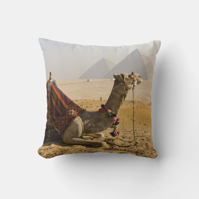 Coussin Égypte, Le Caire. Un chameau solitaire (Recto)