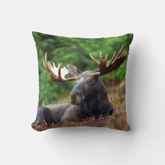 Coussin Élan (Recto)