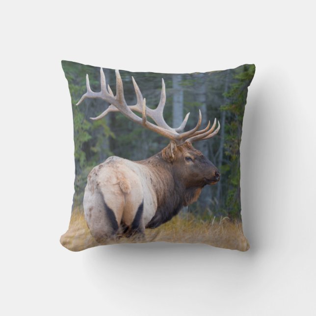 Coussin Élan mâle des montagnes Rocheuses (Recto)