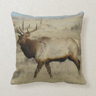 Coussin Élan mâle E55