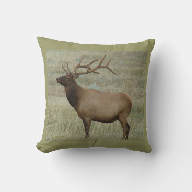 Coussin Élan mâle E8 en velours (Recto)