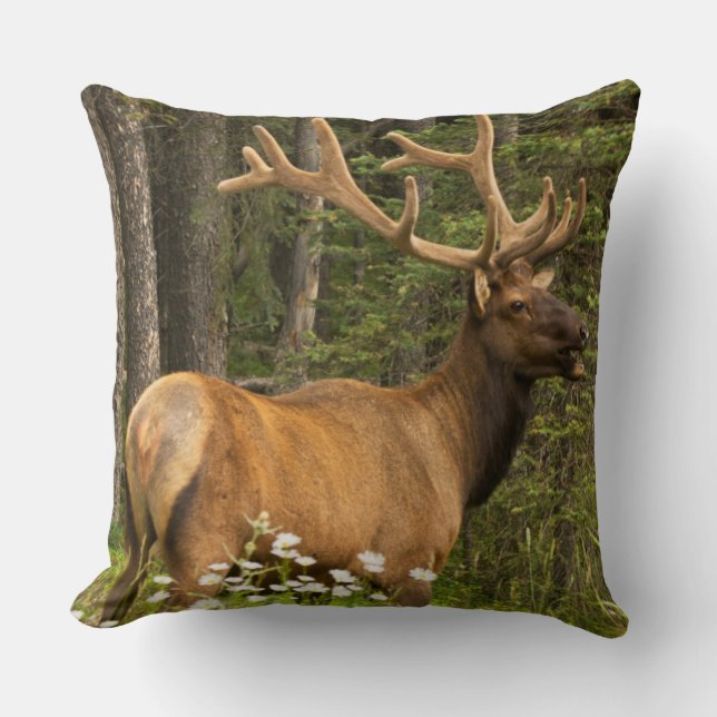 Coussin Élan mâle en velours, Canada (Recto)