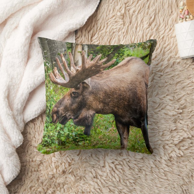Coussin Élan | Péninsule de Kenai, Alaska (Couverture)
