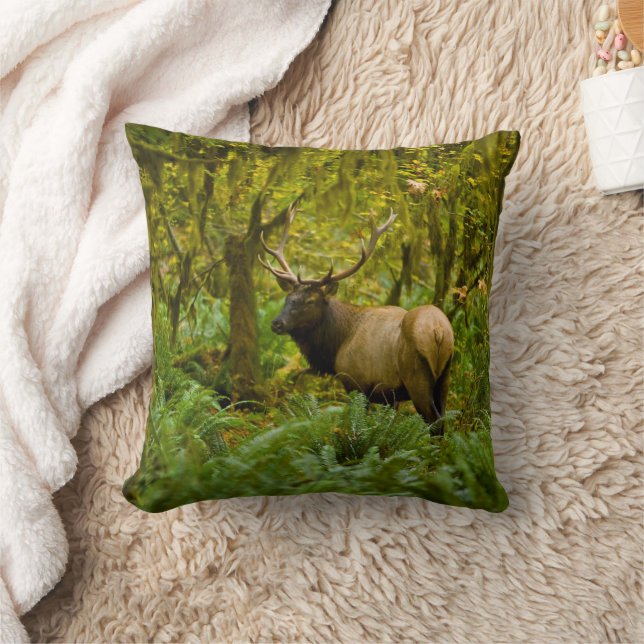 Coussin Élan Roosevelt mâle (Couverture)