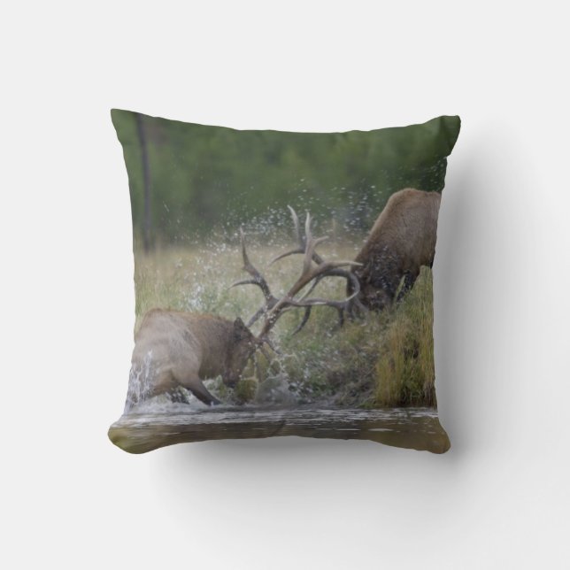 Coussin Élans mâles se battant, Parc national de Yellowsto (Recto)