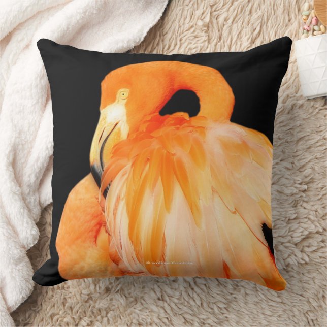 Coussin Elégant Flamant rose échassier oiseau en été solei (Couverture)