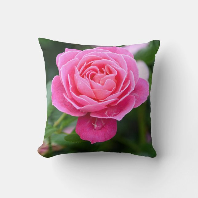 Coussin Elegant Floral Pink Rose Garden Accent Pillow (Recto)