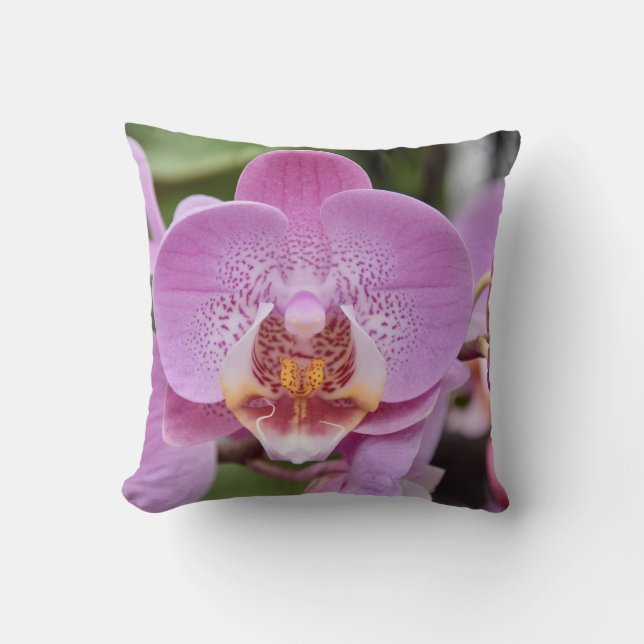 Coussin Elegant Pink Orchid Floral Nature Close-up Throw P (Recto)