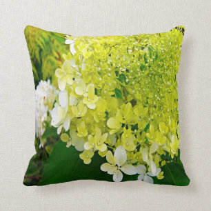 Coussin Élégante Chartreuse Vert Limelight Hydrangea