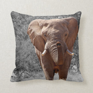 Coussin Éléphant africain