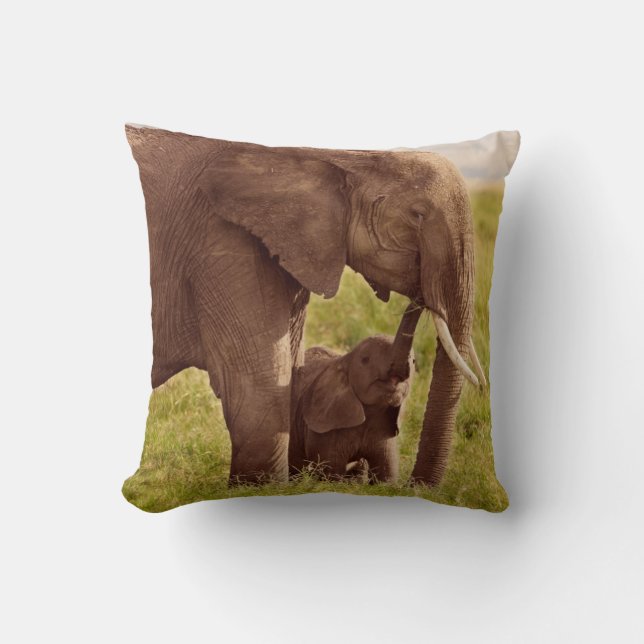 Coussin Éléphant et bébé des images | de Getty (Recto)