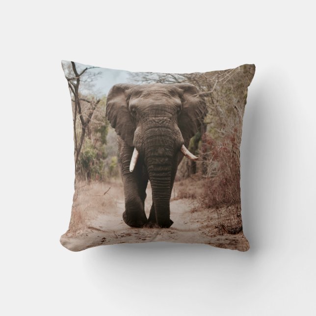 COUSSIN ÉLÉPHANT NOIR MARCHANT SUR SABLE BROWN (Recto)