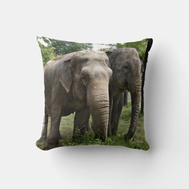 Coussin Eléphants asiatiques côte à côte (Recto)