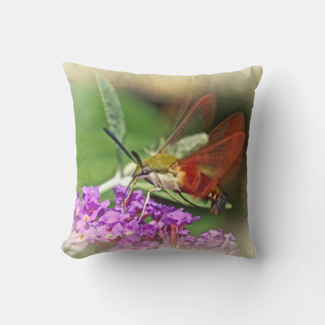 Coussin Élimination de la papaye des colibris (Recto)