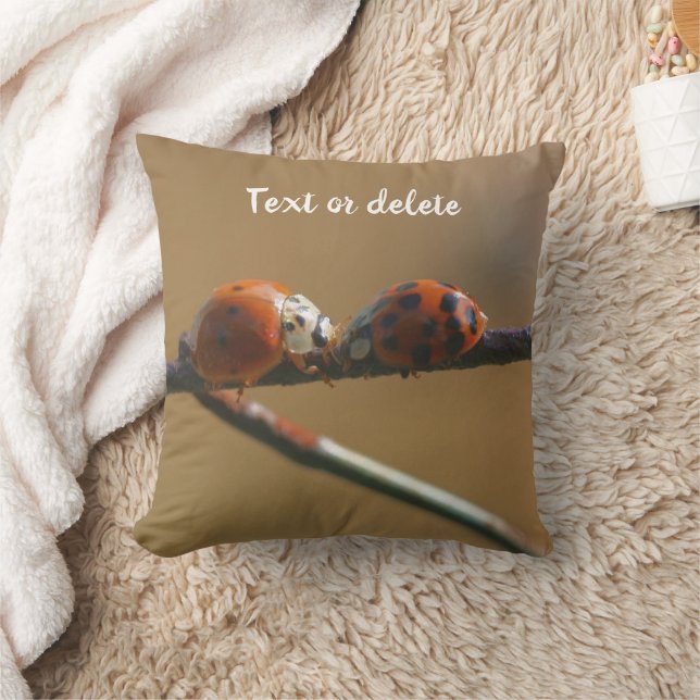 Coussin Embrasser Ladybugs Sur Une Clôture De Fil Personna (Couverture)