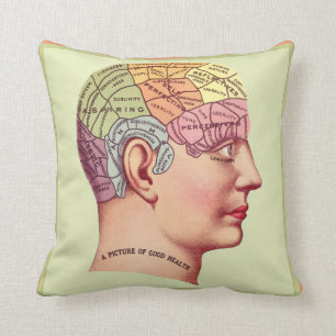 Coussin en chef de la pharmacologie Vintage