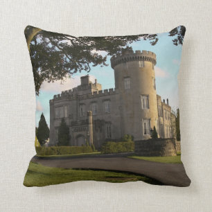 Coussin En Irlande, l'entrée côté château de Dromoland