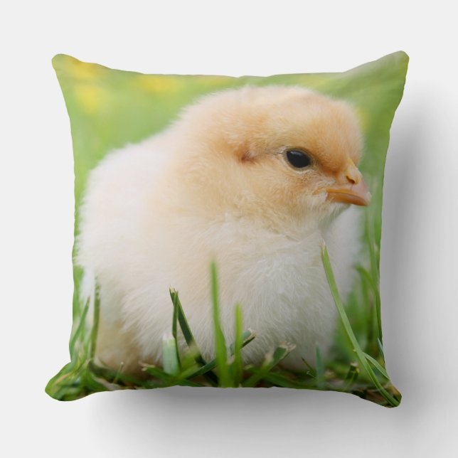 Coussin Enfant poussin printemps (Recto)