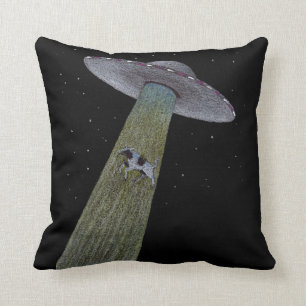 Coussin Enlèvement d'Aliens