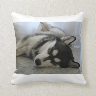 Coussin Enroué