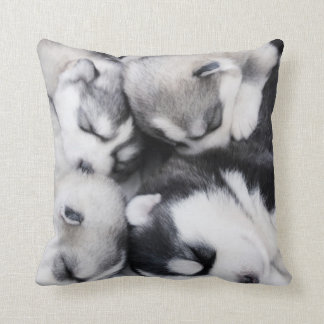 coussin enroué câlin mignon de chiots de n