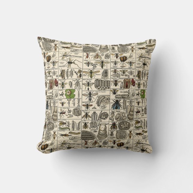Coussin Entomologie vintage (Recto)