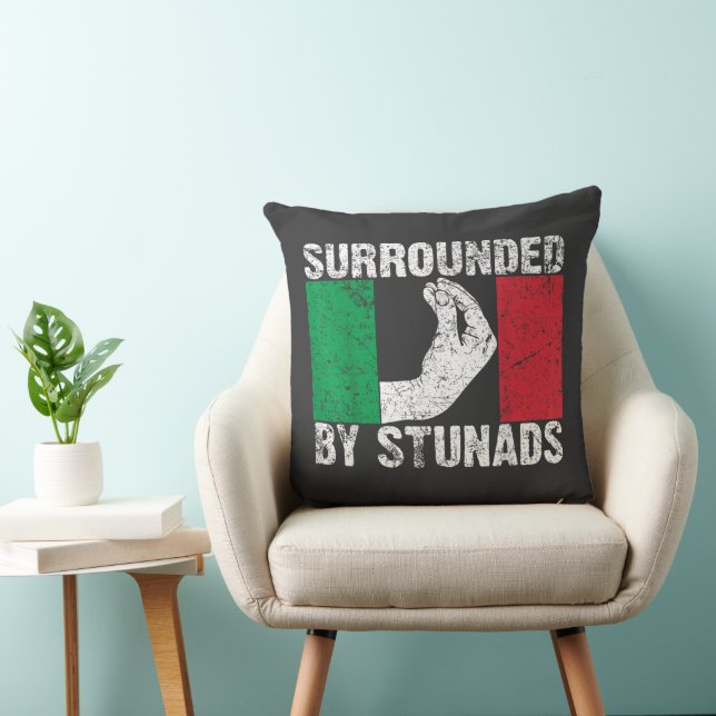 Coussin Entouré de Stunads (Chaise)
