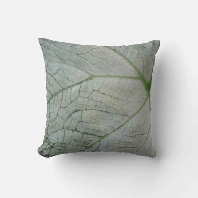Coussin Enveloppement de légumes (Recto)