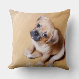 Coussin Épagneul cavalier croisé du Roi Charles de carli