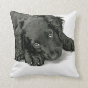 Coussin Épagneul Dave de Sprocker