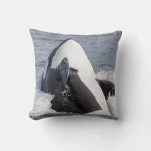 Coussin Épaulard faisant une brèche