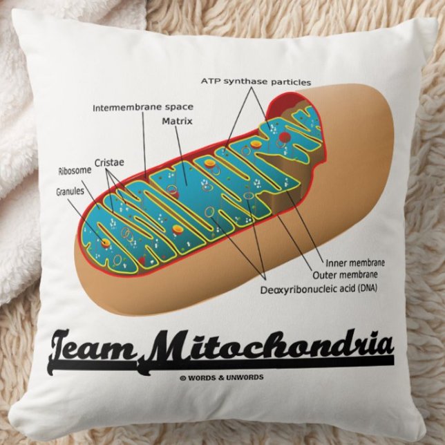 Coussin Équipe Mitochondria (Humour Mitochondrion) (Team Mitochondria throw pillow for any exerciser who knows that mitochondria power ourselves!)