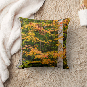 Coussin Érable et bouleau blanc   White Mountains, NH
