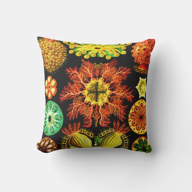 Coussin Ernst Haeckel Ascidiae (Recto)