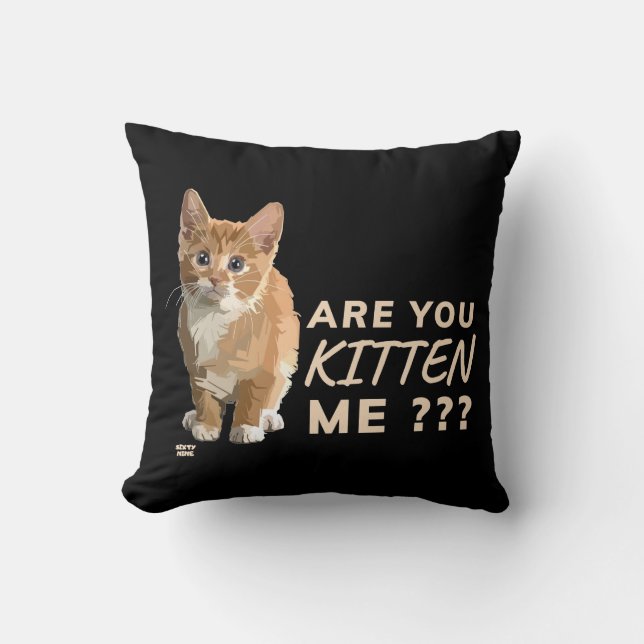 Coussin "ES-TU EN TRAIN DE ME FAIRE CUIRE" drôle, mignonne (Recto)