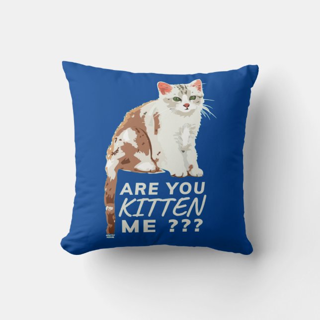 Coussin "ES-TU EN TRAIN DE ME FAIRE CUIRE" drôle, mignonne (Recto)