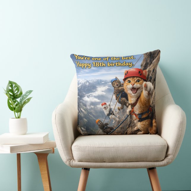 Coussin Escalade coutumière joyeux 18ème anniversaire à tr (Chaise)
