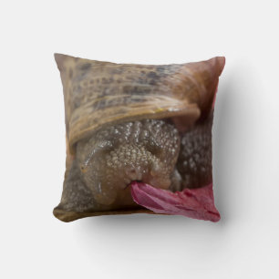 Coussin Escargot mangeur papier rose étrange escargot jete