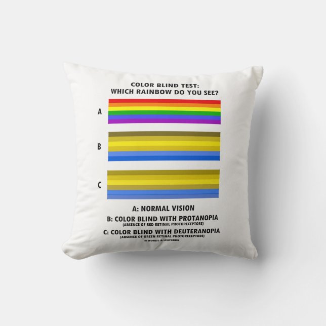 Coussin Essai de daltonisme que l'arc-en-ciel vous voient (Recto)