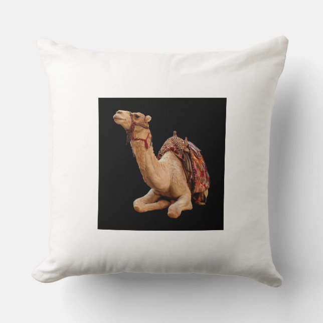 Coussin et Poufs (Recto)