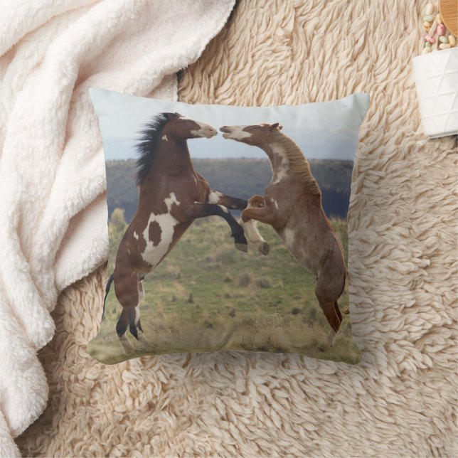 Coussin Étalons combattants, Steens Mountains, Oregon (Couverture)