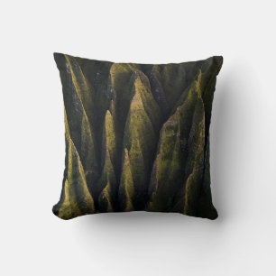 Coussin États-Unis