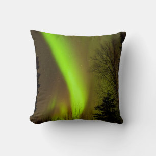 Coussin États-Unis, Alaska, Chena Hot Springs. Vue d'Auror