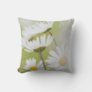 Coussin États-Unis, Alaska, Glacier Bay National Park