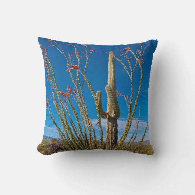 Coussin États-Unis, Arizona. Cactus dans le parc national  (Recto)