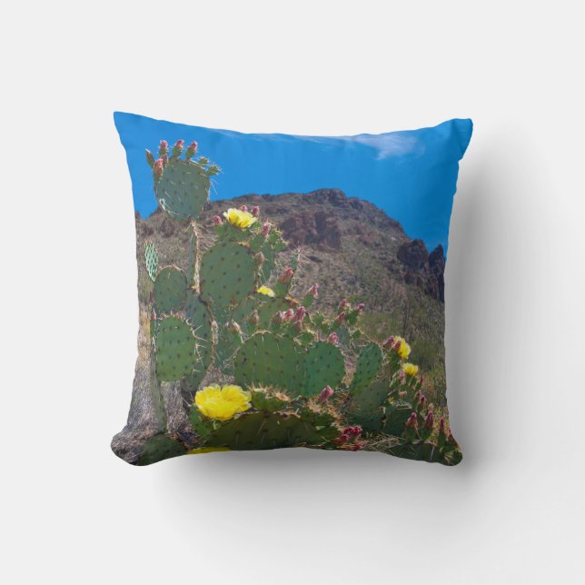 Coussin États-Unis, Arizona. Cactus dans les collines (Recto)