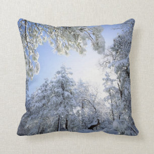 Coussin États-Unis, Californie, Cleveland National Forest,